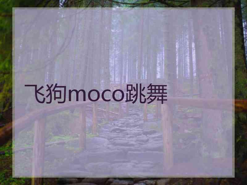 飞狗moco跳舞