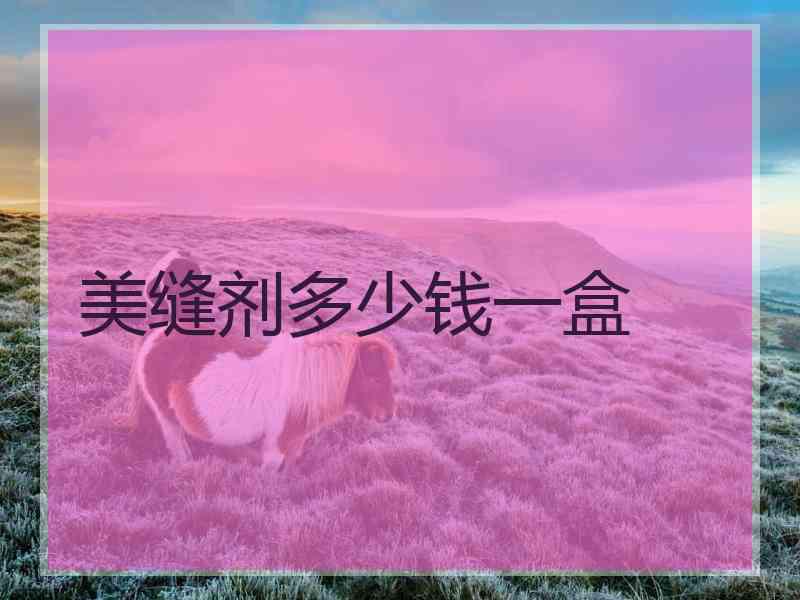 美缝剂多少钱一盒
