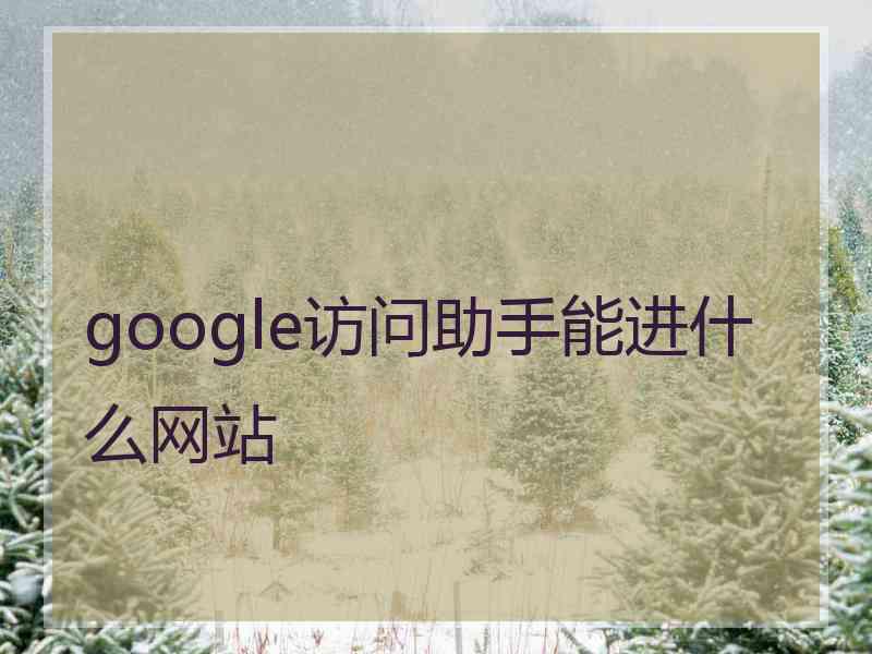 google访问助手能进什么网站