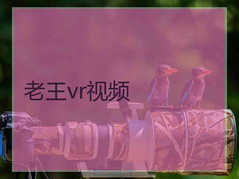 老王vr视频