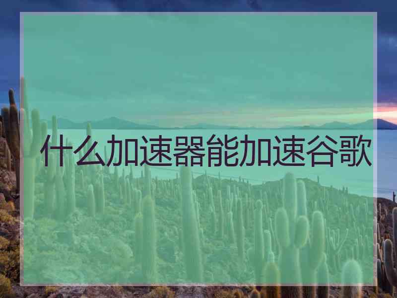 什么加速器能加速谷歌