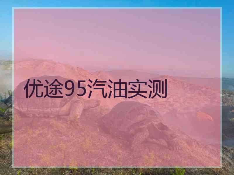 优途95汽油实测