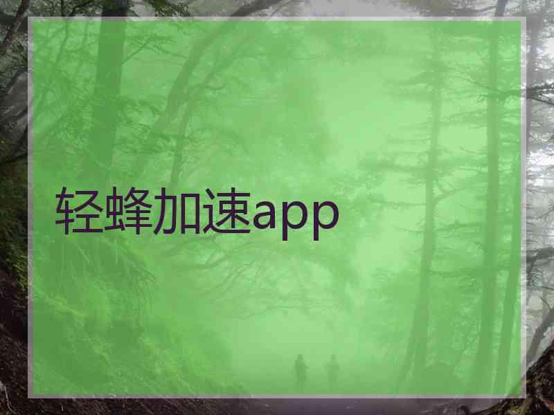 轻蜂加速app