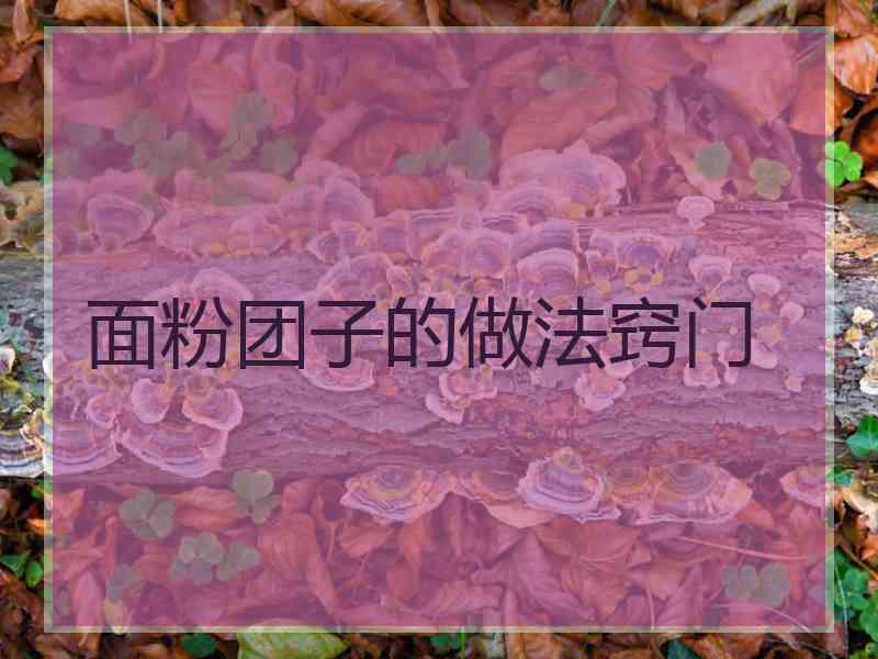 面粉团子的做法窍门