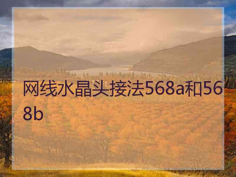 网线水晶头接法568a和568b