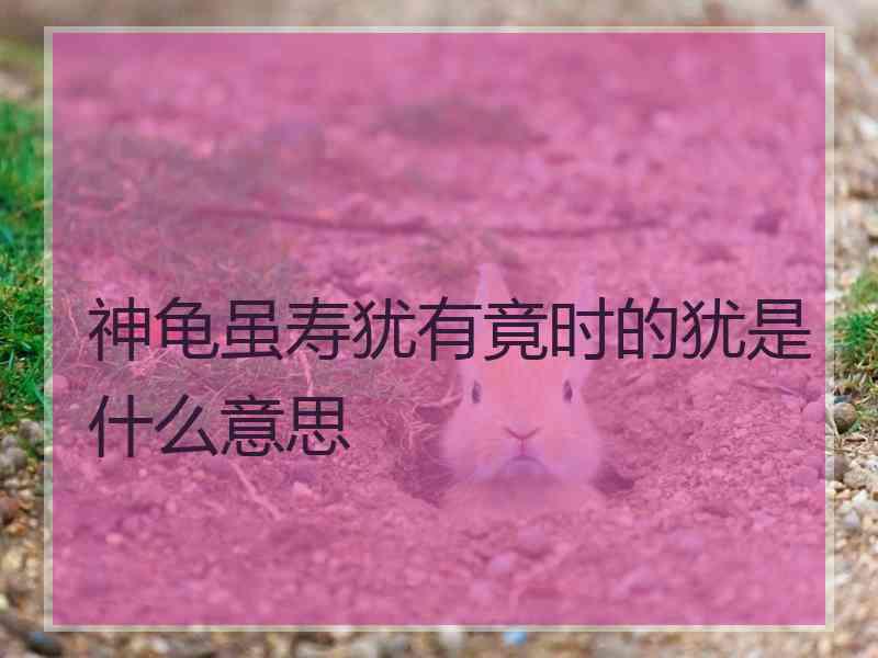 神龟虽寿犹有竟时的犹是什么意思