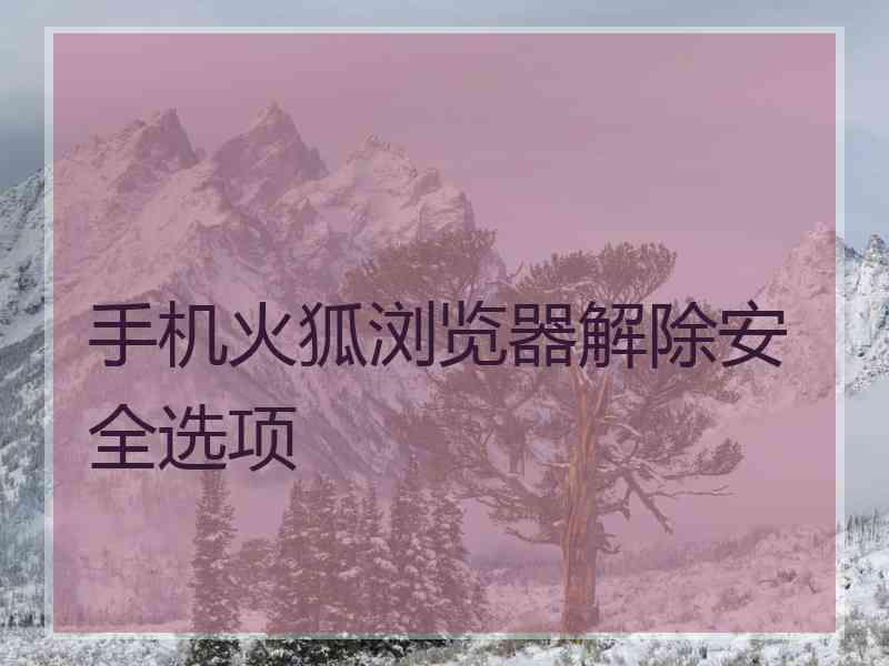 手机火狐浏览器解除安全选项
