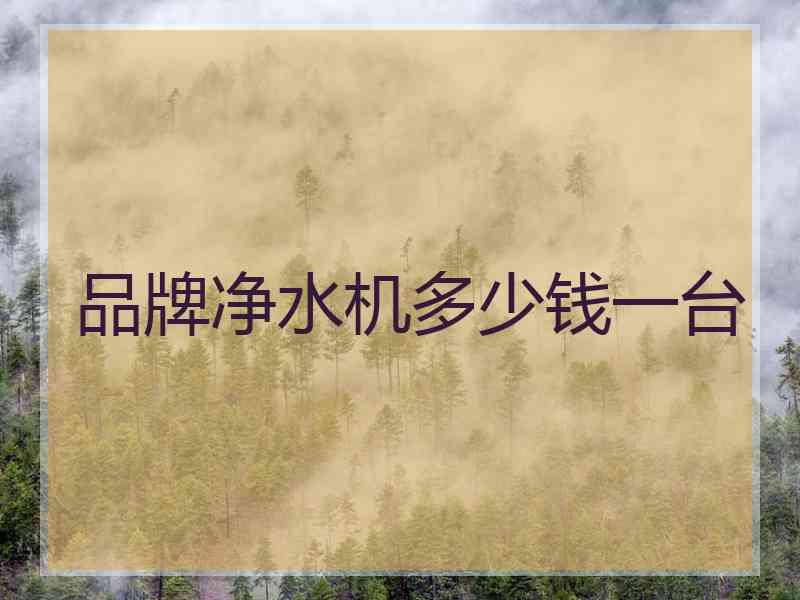 品牌净水机多少钱一台