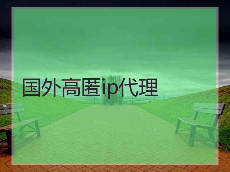 国外高匿ip代理