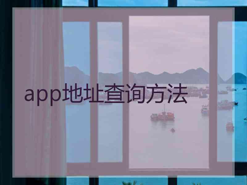 app地址查询方法