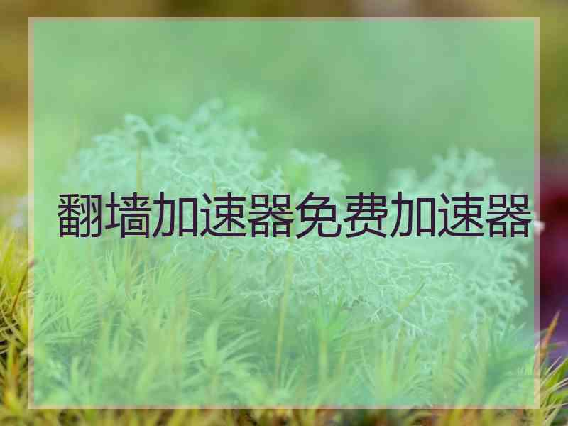翻墙加速器免费加速器