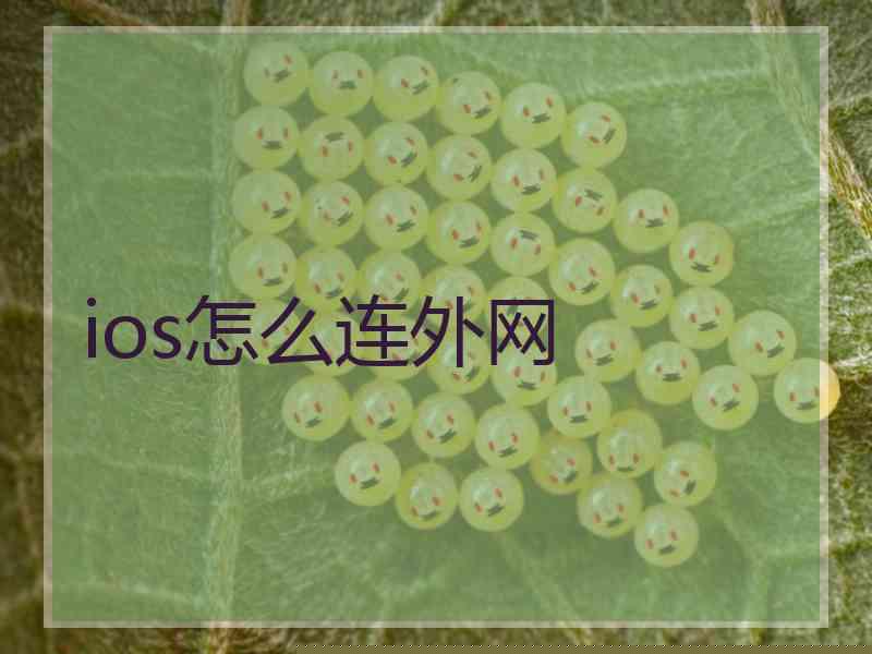 ios怎么连外网