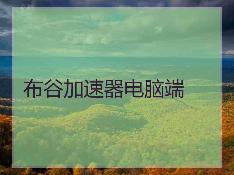 布谷加速器电脑端