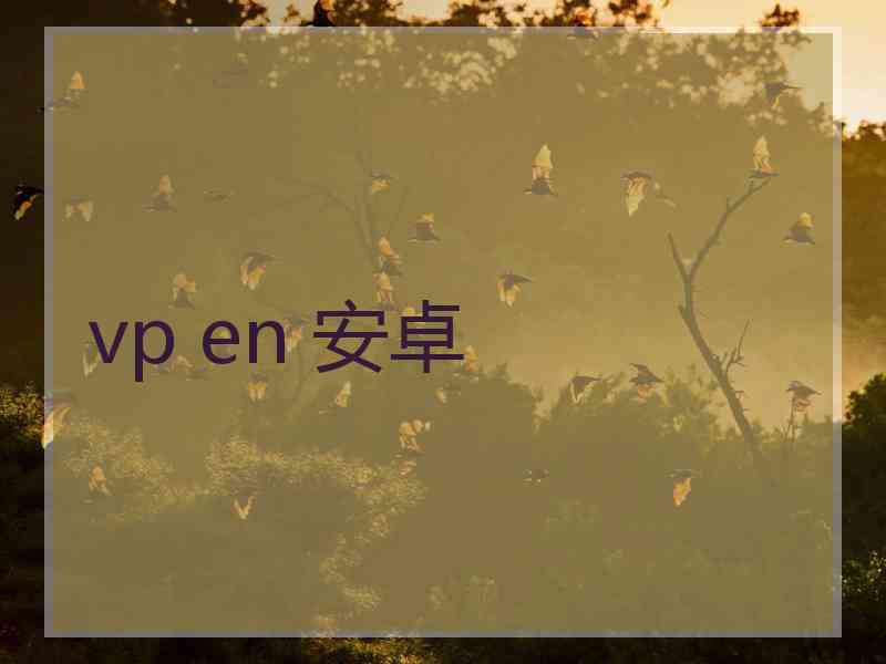 vp en 安卓