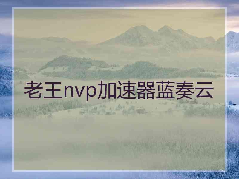 老王nvp加速器蓝奏云