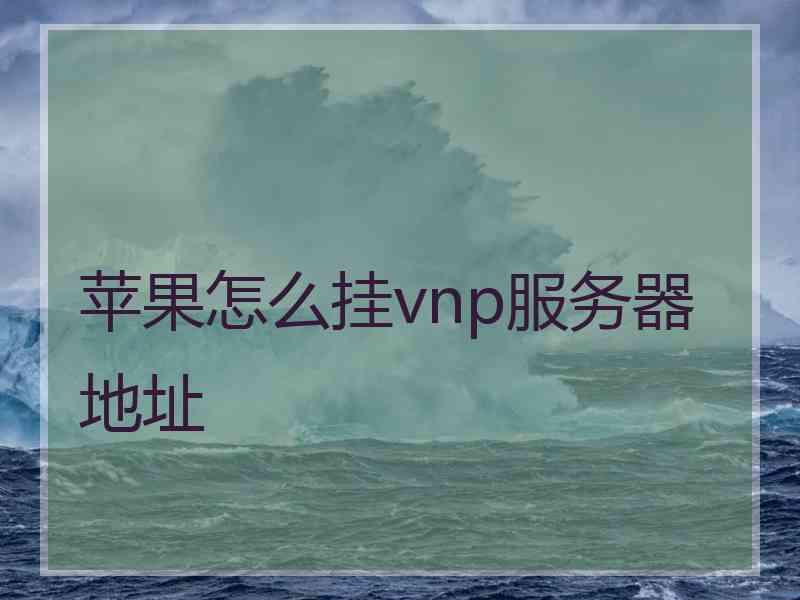 苹果怎么挂vnp服务器地址