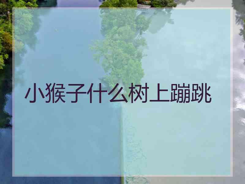 小猴子什么树上蹦跳