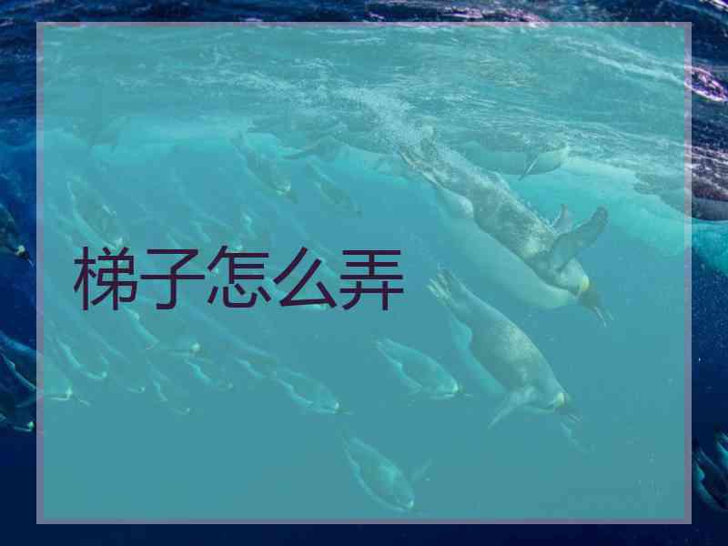 梯子怎么弄