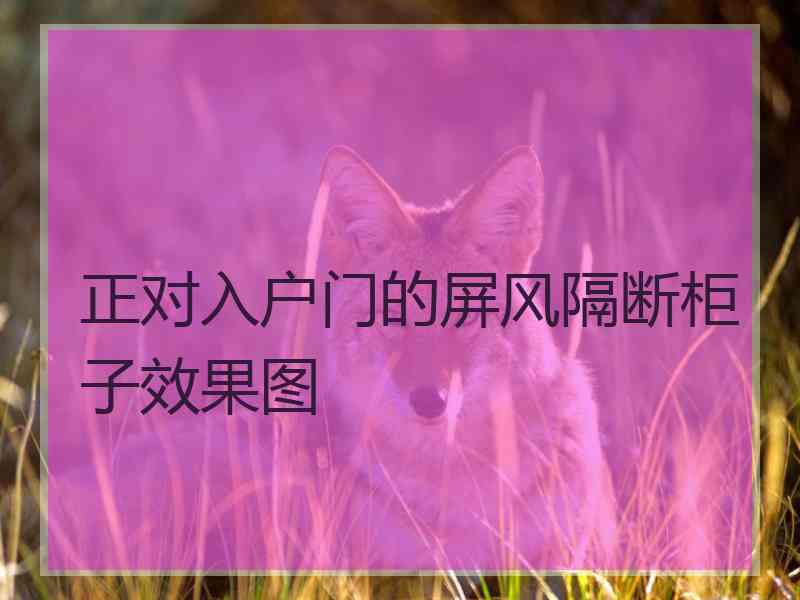 正对入户门的屏风隔断柜子效果图