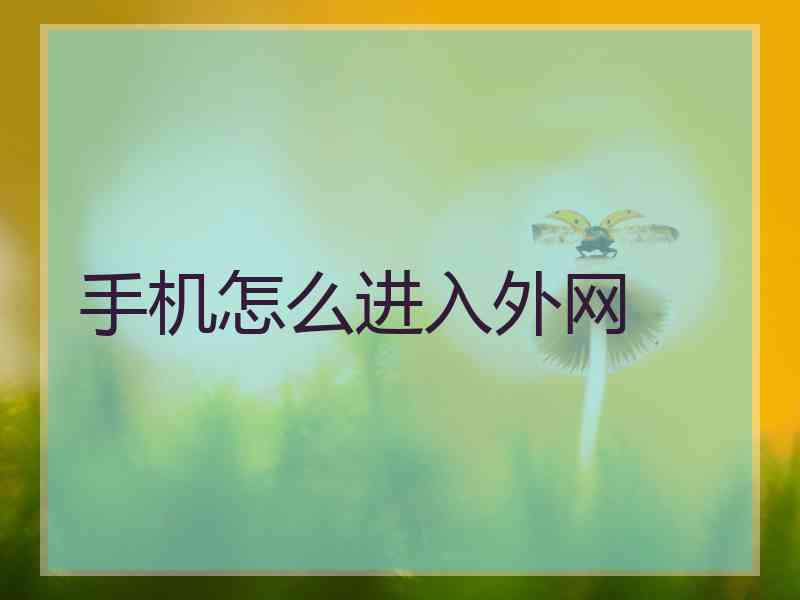 手机怎么进入外网