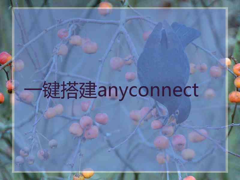 一键搭建anyconnect