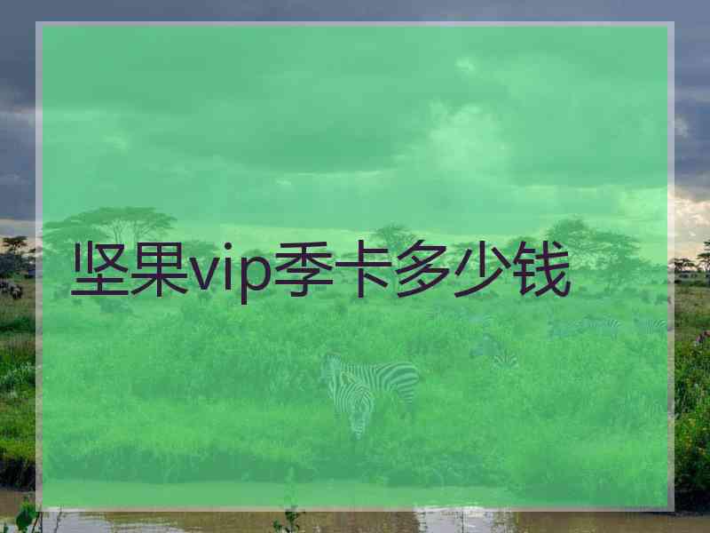 坚果vip季卡多少钱