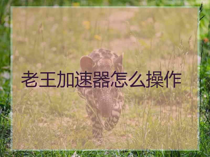 老王加速器怎么操作