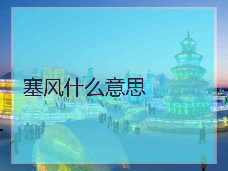 塞风什么意思