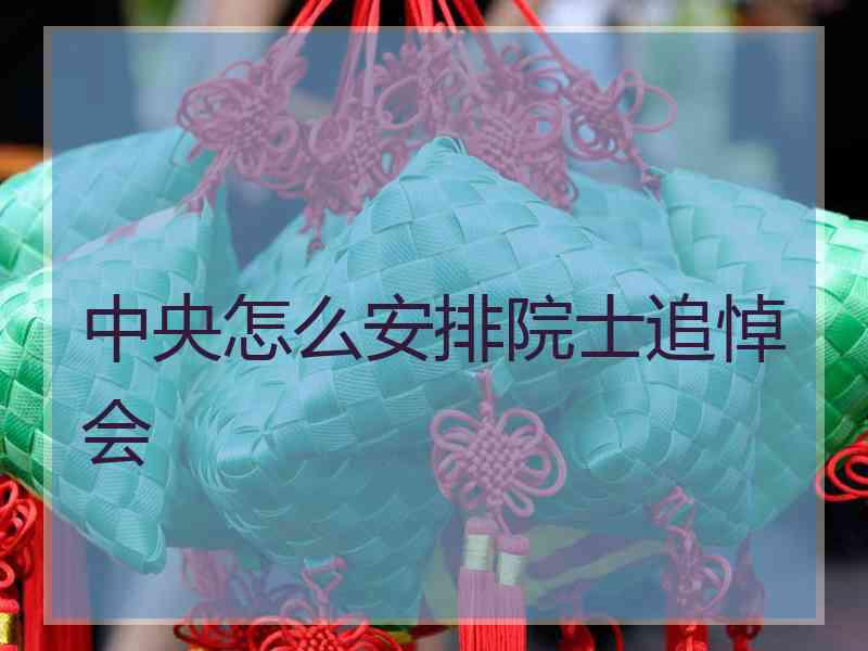 中央怎么安排院士追悼会