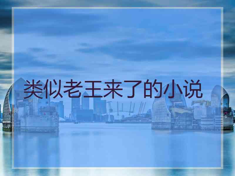 类似老王来了的小说