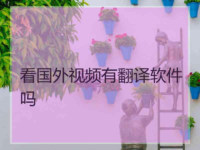 看国外视频有翻译软件吗