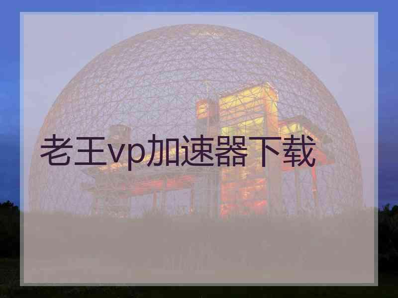 老王vp加速器下载