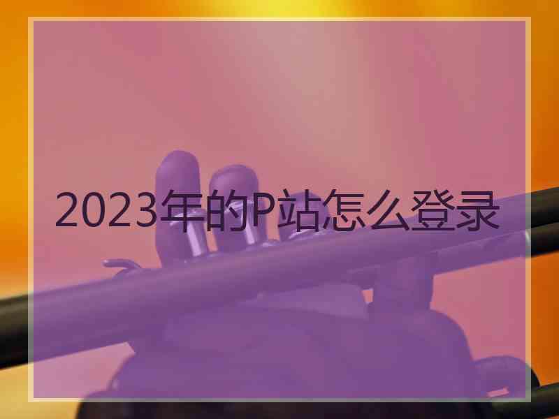 2023年的P站怎么登录