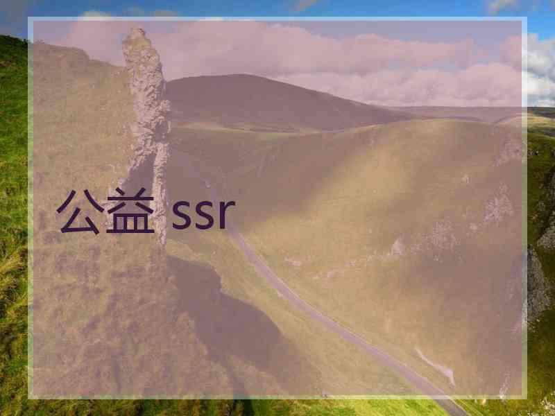 公益 ssr