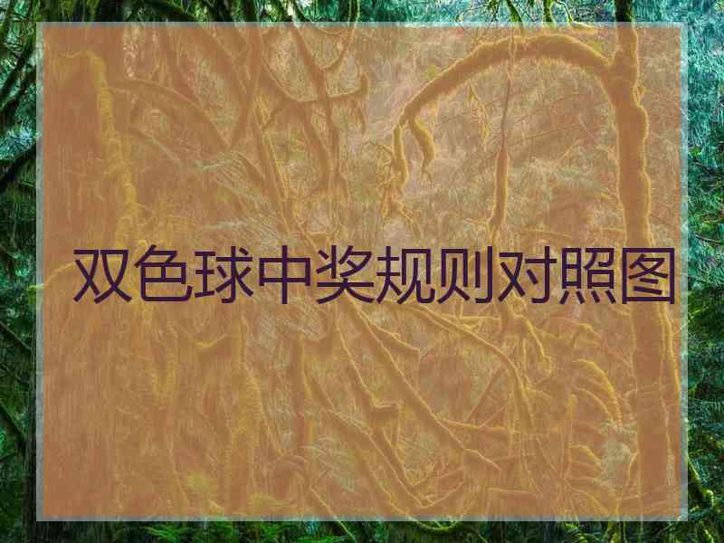 双色球中奖规则对照图