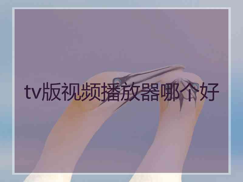 tv版视频播放器哪个好