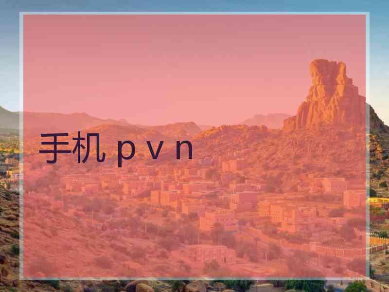 手机 p v n