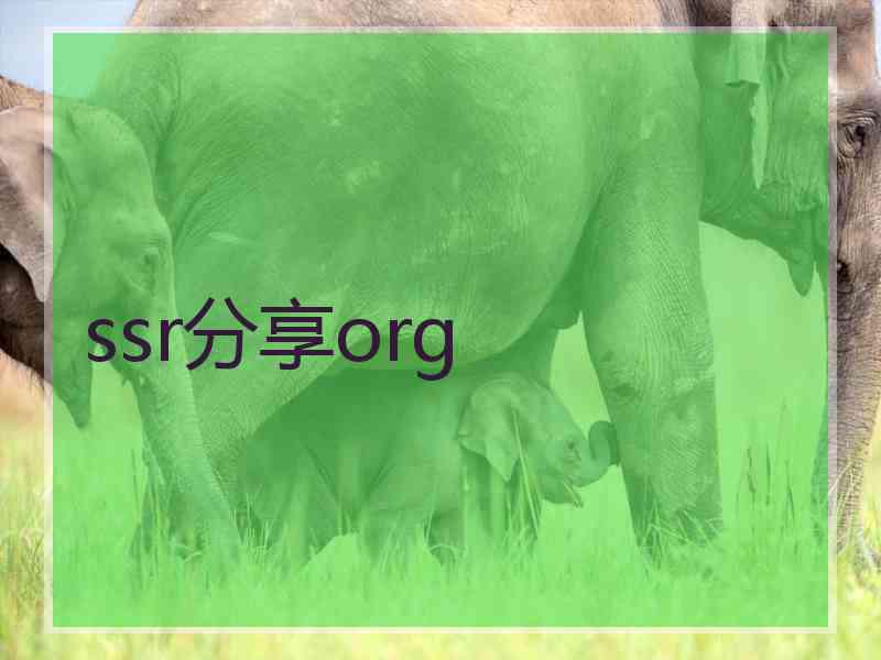 ssr分享org