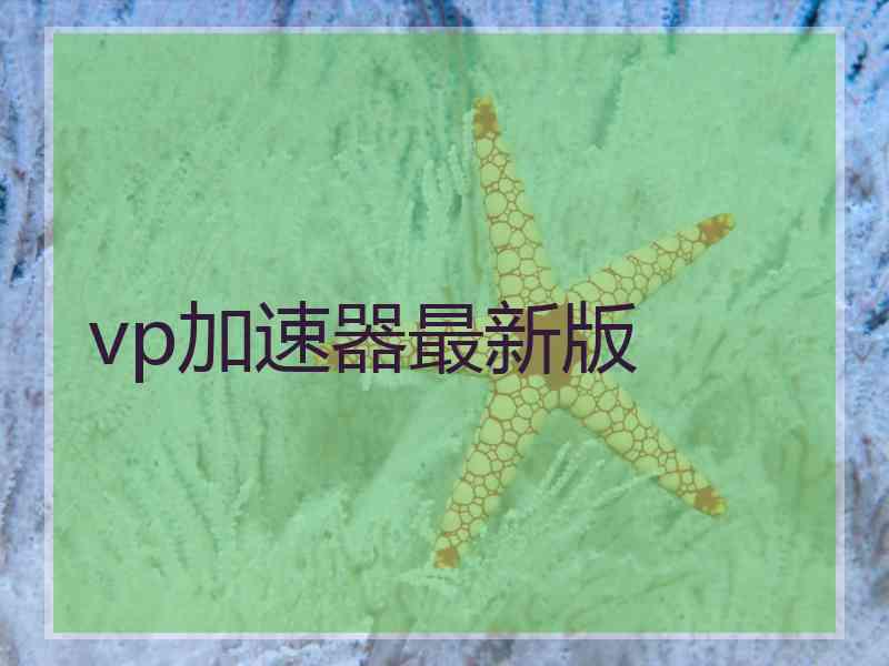 vp加速器最新版