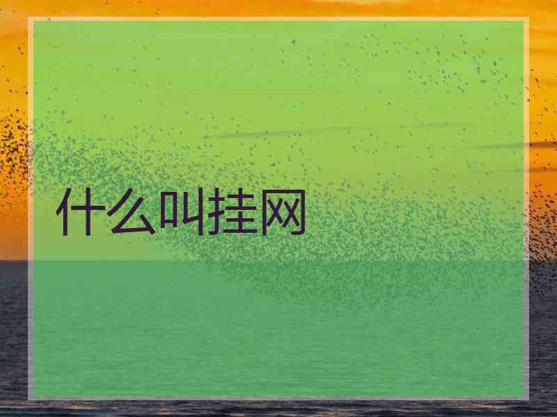 什么叫挂网