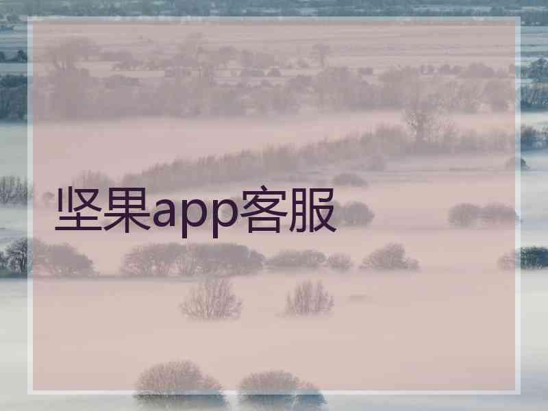 坚果app客服