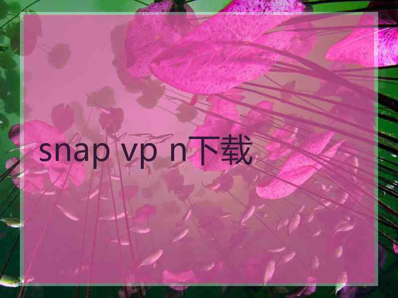 snap vp n下载