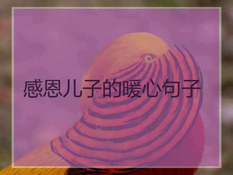 感恩儿子的暖心句子