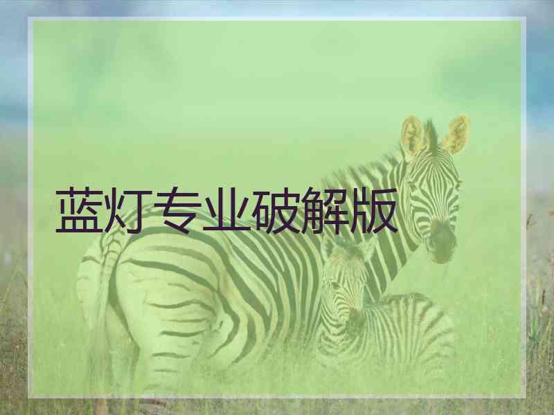 蓝灯专业破解版