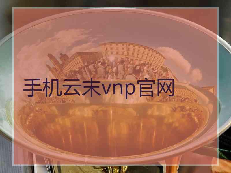 手机云末vnp官网