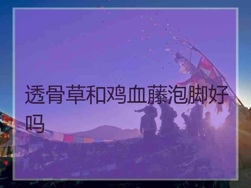 透骨草和鸡血藤泡脚好吗