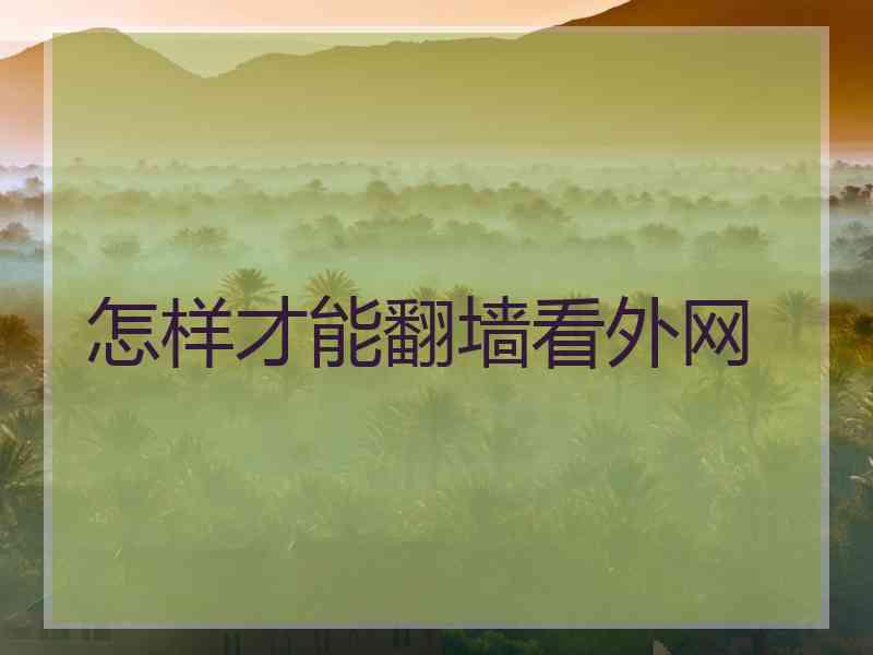 怎样才能翻墙看外网