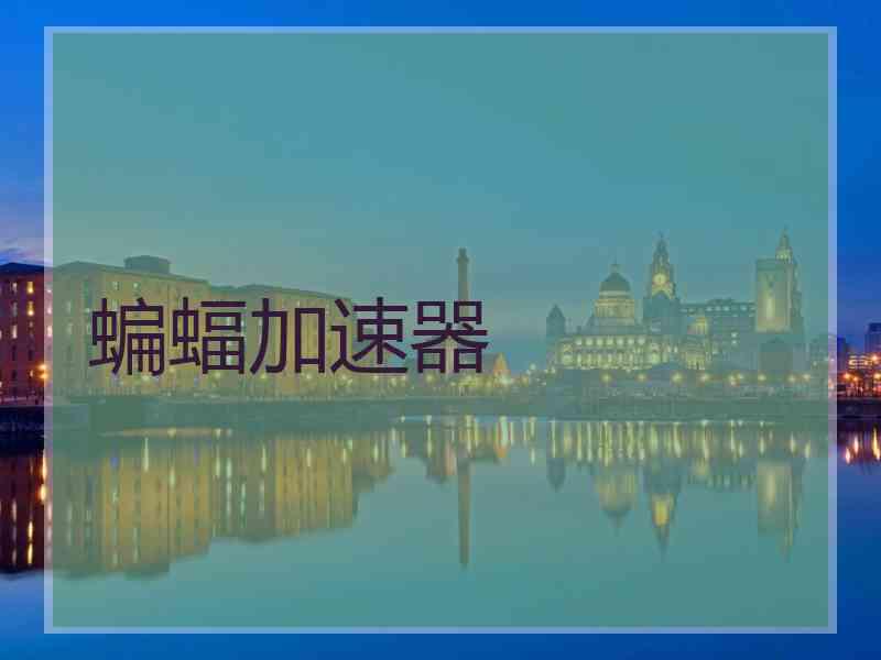蝙蝠加速器