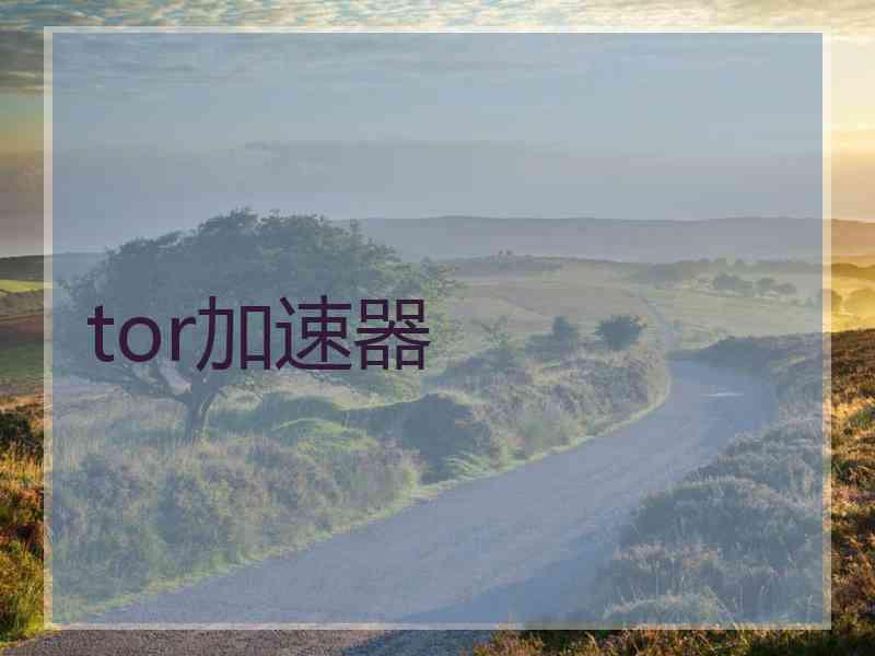 tor加速器