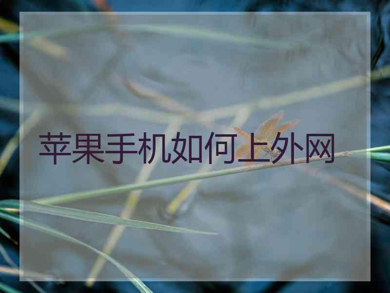 苹果手机如何上外网